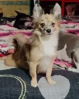 processed/b3910075-e7e0-4eb7-b381-a6483c4757b8/facility/1476b486-c77f-4a4a-8f9b-8be6aadde2e2