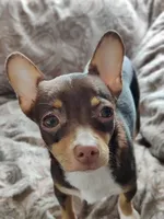 processed/b3910075-e7e0-4eb7-b381-a6483c4757b8/facility/25654026-47f2-46a0-86bd-3ce2cf2cb90e