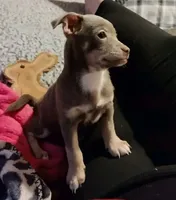 processed/b3910075-e7e0-4eb7-b381-a6483c4757b8/facility/4e34108e-7352-45cf-abe6-951c7adaad71