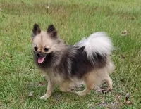 processed/b3910075-e7e0-4eb7-b381-a6483c4757b8/facility/601eaa68-e38e-40dc-ab17-283d3c66ce69