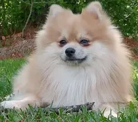 processed/b3910075-e7e0-4eb7-b381-a6483c4757b8/facility/cfec7c4b-ee8c-46b7-ae0d-9ab62bfc850c