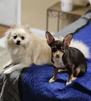 processed/b3910075-e7e0-4eb7-b381-a6483c4757b8/facility/d8e3d1cf-9b8e-4f74-9715-33859e162f4b