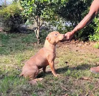 processed/b3910075-e7e0-4eb7-b381-a6483c4757b8/listing/7f4a6a8c-a013-44a7-a8a1-73d2d3034ae8/013563e0-276f-4fbd-bfba-70ee3e2bb4a5