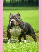 processed/b3910075-e7e0-4eb7-b381-a6483c4757b8/listing/7f4a6a8c-a013-44a7-a8a1-73d2d3034ae8/153a7b44-c21e-4e8a-bcad-a217441600ae