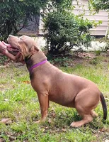 processed/b3910075-e7e0-4eb7-b381-a6483c4757b8/listing/7f4a6a8c-a013-44a7-a8a1-73d2d3034ae8/546fcfa6-32bd-454d-8c7c-58d877cf9903