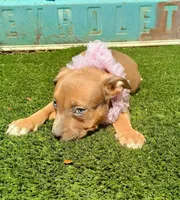 processed/b3910075-e7e0-4eb7-b381-a6483c4757b8/listing/7f4a6a8c-a013-44a7-a8a1-73d2d3034ae8/7f158613-03bd-42db-b236-7334b1fb6e35