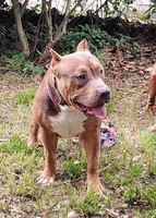 processed/b3910075-e7e0-4eb7-b381-a6483c4757b8/listing/7f4a6a8c-a013-44a7-a8a1-73d2d3034ae8/b0ddb0fa-cf10-4f72-9079-f47cee297518