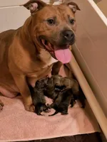 processed/b3910075-e7e0-4eb7-b381-a6483c4757b8/listing/7f4a6a8c-a013-44a7-a8a1-73d2d3034ae8/deb7c743-09d3-4b55-93c6-29f62011cf6a