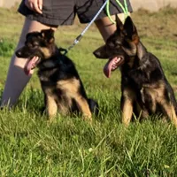 processed/b3926e7c-d417-4c21-a7bf-ec3bdff498d1/facility/08589ea9-35e1-40a0-97e3-c7e736b05278