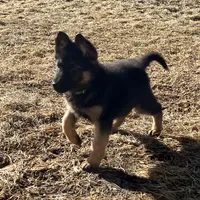 processed/b3926e7c-d417-4c21-a7bf-ec3bdff498d1/facility/0c69d669-a797-47dd-a2e4-2a35f86cb378