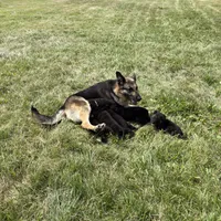 processed/b3926e7c-d417-4c21-a7bf-ec3bdff498d1/facility/23aa8084-d4e2-4533-b788-22167ece2852