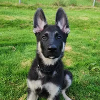 processed/b3926e7c-d417-4c21-a7bf-ec3bdff498d1/facility/475e82ce-8aeb-4049-9460-4580c373d778