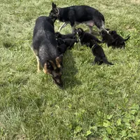 processed/b3926e7c-d417-4c21-a7bf-ec3bdff498d1/facility/5daec129-448c-469c-a790-7d8e8137193a