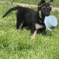 processed/b3926e7c-d417-4c21-a7bf-ec3bdff498d1/facility/92f44564-919e-47ec-93c7-aaa05267fa50