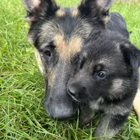 processed/b3926e7c-d417-4c21-a7bf-ec3bdff498d1/facility/c33d59ad-bed9-413f-9fae-ae022a42d07b