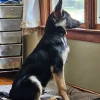 processed/b3926e7c-d417-4c21-a7bf-ec3bdff498d1/facility/c909d808-2378-4beb-a370-1029e4ea00d0