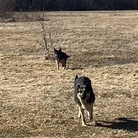 processed/b3926e7c-d417-4c21-a7bf-ec3bdff498d1/facility/e879b08f-fff2-43b8-9aa3-efc3ed5064cd