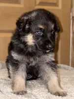 processed/b3926e7c-d417-4c21-a7bf-ec3bdff498d1/listing/958fad18-7242-45e3-b151-887670fcc3a1/81dbe251-c7a5-459c-b1fd-b590396e250e