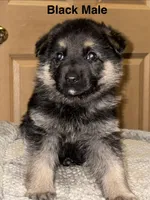 processed/b3926e7c-d417-4c21-a7bf-ec3bdff498d1/listing/958fad18-7242-45e3-b151-887670fcc3a1/8f93f532-0b4d-44c5-9e33-a84fea33a867