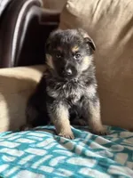 processed/b3926e7c-d417-4c21-a7bf-ec3bdff498d1/listing/958fad18-7242-45e3-b151-887670fcc3a1/e842a2f8-0745-4974-9b0f-6c4edc399740