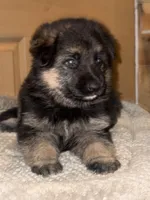 processed/b3926e7c-d417-4c21-a7bf-ec3bdff498d1/listing/a7360a20-e87a-48dc-bab9-b7b194501b32/34b0f1a4-6b61-4690-ab3f-e4330ebf2f97