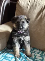 processed/b3926e7c-d417-4c21-a7bf-ec3bdff498d1/listing/a7360a20-e87a-48dc-bab9-b7b194501b32/3c14a4da-e2fc-44db-9d25-06d67428da21