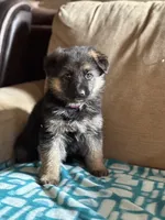 processed/b3926e7c-d417-4c21-a7bf-ec3bdff498d1/listing/a7360a20-e87a-48dc-bab9-b7b194501b32/43089207-039c-4fcf-ab25-18d069b3aa37