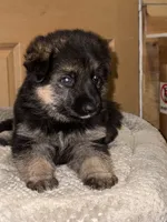 processed/b3926e7c-d417-4c21-a7bf-ec3bdff498d1/listing/a7360a20-e87a-48dc-bab9-b7b194501b32/e3e7e405-a36c-475e-b688-22e611d95d47