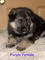 processed/b3926e7c-d417-4c21-a7bf-ec3bdff498d1/listing/a7360a20-e87a-48dc-bab9-b7b194501b32/e3eafefd-5bd8-4213-af42-5895677e3ff6