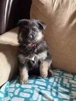 processed/b3926e7c-d417-4c21-a7bf-ec3bdff498d1/listing/d9e7f4e9-0ae0-4e69-ab6f-0bbe39fa5e7c/0649c434-b360-4dbc-a95f-32f0c37120db