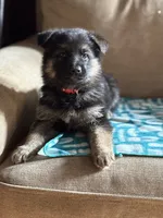 processed/b3926e7c-d417-4c21-a7bf-ec3bdff498d1/listing/d9e7f4e9-0ae0-4e69-ab6f-0bbe39fa5e7c/5d547368-0179-4e35-9924-302bc79e1dfe