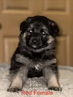 processed/b3926e7c-d417-4c21-a7bf-ec3bdff498d1/listing/d9e7f4e9-0ae0-4e69-ab6f-0bbe39fa5e7c/9cf2708e-f3a7-42ab-a42e-c3ff225db20e