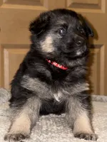 processed/b3926e7c-d417-4c21-a7bf-ec3bdff498d1/listing/d9e7f4e9-0ae0-4e69-ab6f-0bbe39fa5e7c/aecb713a-094f-4d44-9598-8b9db22867fc