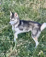 processed/b39623a1-bbec-44be-b92f-8c5a9a331606/listing/122d8a6b-1088-4776-90a0-1b288dcecefc/0259ee95-0c72-460b-bd82-a424f937284c