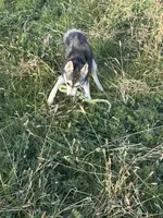 processed/b39623a1-bbec-44be-b92f-8c5a9a331606/listing/122d8a6b-1088-4776-90a0-1b288dcecefc/18a0ec04-18ec-4d07-b66a-4548d25ab0a9