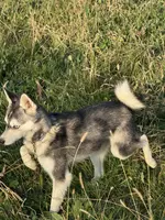 processed/b39623a1-bbec-44be-b92f-8c5a9a331606/listing/122d8a6b-1088-4776-90a0-1b288dcecefc/4fca35d7-dce3-44df-961f-5e1cabee9340