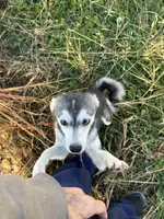 processed/b39623a1-bbec-44be-b92f-8c5a9a331606/listing/122d8a6b-1088-4776-90a0-1b288dcecefc/6216be71-876b-4a1d-a899-dc2083466f3e