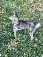 processed/b39623a1-bbec-44be-b92f-8c5a9a331606/listing/122d8a6b-1088-4776-90a0-1b288dcecefc/6e6193a0-07ac-459a-8f65-7f363d4d577e