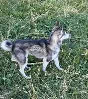 processed/b39623a1-bbec-44be-b92f-8c5a9a331606/listing/122d8a6b-1088-4776-90a0-1b288dcecefc/950d2ed1-3bab-4345-a94b-333625cda800