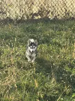 processed/b39623a1-bbec-44be-b92f-8c5a9a331606/listing/8b2922e0-6913-49b2-87b7-d2ade67fb55b/00fbc6c6-a0db-4c46-8879-a288d9a6d364