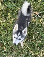 processed/b39623a1-bbec-44be-b92f-8c5a9a331606/listing/8b2922e0-6913-49b2-87b7-d2ade67fb55b/0285378a-8b05-4871-a9b4-291ff6e4955a