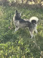 processed/b39623a1-bbec-44be-b92f-8c5a9a331606/listing/8b2922e0-6913-49b2-87b7-d2ade67fb55b/2a0adc00-cc8d-4e4f-9c26-230bc4a8c250