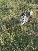 processed/b39623a1-bbec-44be-b92f-8c5a9a331606/listing/8b2922e0-6913-49b2-87b7-d2ade67fb55b/84552e8c-6907-45a1-89ad-e98600e7186a