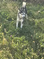 processed/b39623a1-bbec-44be-b92f-8c5a9a331606/listing/8b2922e0-6913-49b2-87b7-d2ade67fb55b/8652ba7b-9b81-40fc-83ad-07985fe19997