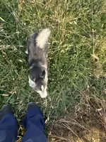 processed/b39623a1-bbec-44be-b92f-8c5a9a331606/listing/8b2922e0-6913-49b2-87b7-d2ade67fb55b/9440c4e8-4d08-4217-bc6e-daf20a3b05a2