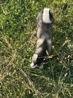 processed/b39623a1-bbec-44be-b92f-8c5a9a331606/listing/8b2922e0-6913-49b2-87b7-d2ade67fb55b/99dd11c8-e515-48e2-820b-8deaf3573e43