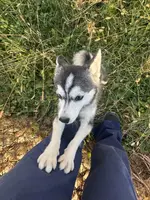 processed/b39623a1-bbec-44be-b92f-8c5a9a331606/listing/8b2922e0-6913-49b2-87b7-d2ade67fb55b/a7f50abe-438b-40ce-9b0e-3f740e9ebc6a