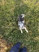 processed/b39623a1-bbec-44be-b92f-8c5a9a331606/listing/8b2922e0-6913-49b2-87b7-d2ade67fb55b/d5ad578a-f3eb-45b0-883b-09c83ade8579