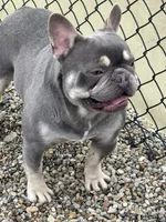 processed/b39623a1-bbec-44be-b92f-8c5a9a331606/listing/da07d2f7-8a70-4a9b-bfe7-c69f898ce2e6/8a77ce0f-378c-4486-a6cb-c9a87b1a4a34