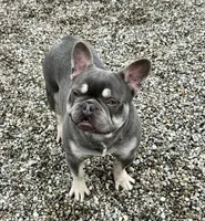 processed/b39623a1-bbec-44be-b92f-8c5a9a331606/listing/da07d2f7-8a70-4a9b-bfe7-c69f898ce2e6/f2afebb2-ffdd-4f9c-a5c1-0fb64ceb5bdd